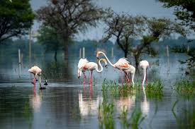 Keoladeo National Park
